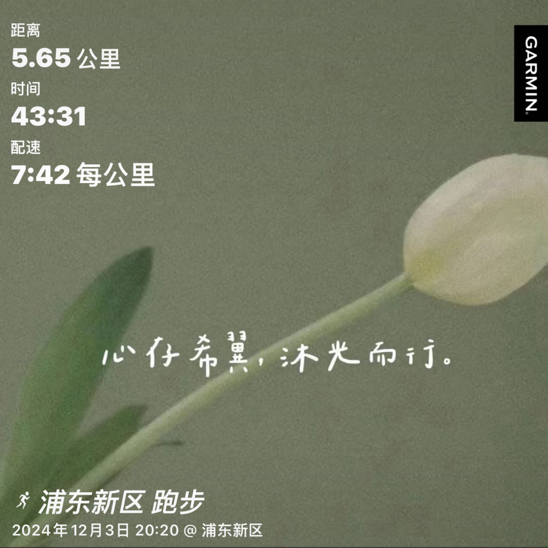 微信用户-超慢跑打卡记录-2024-12-04