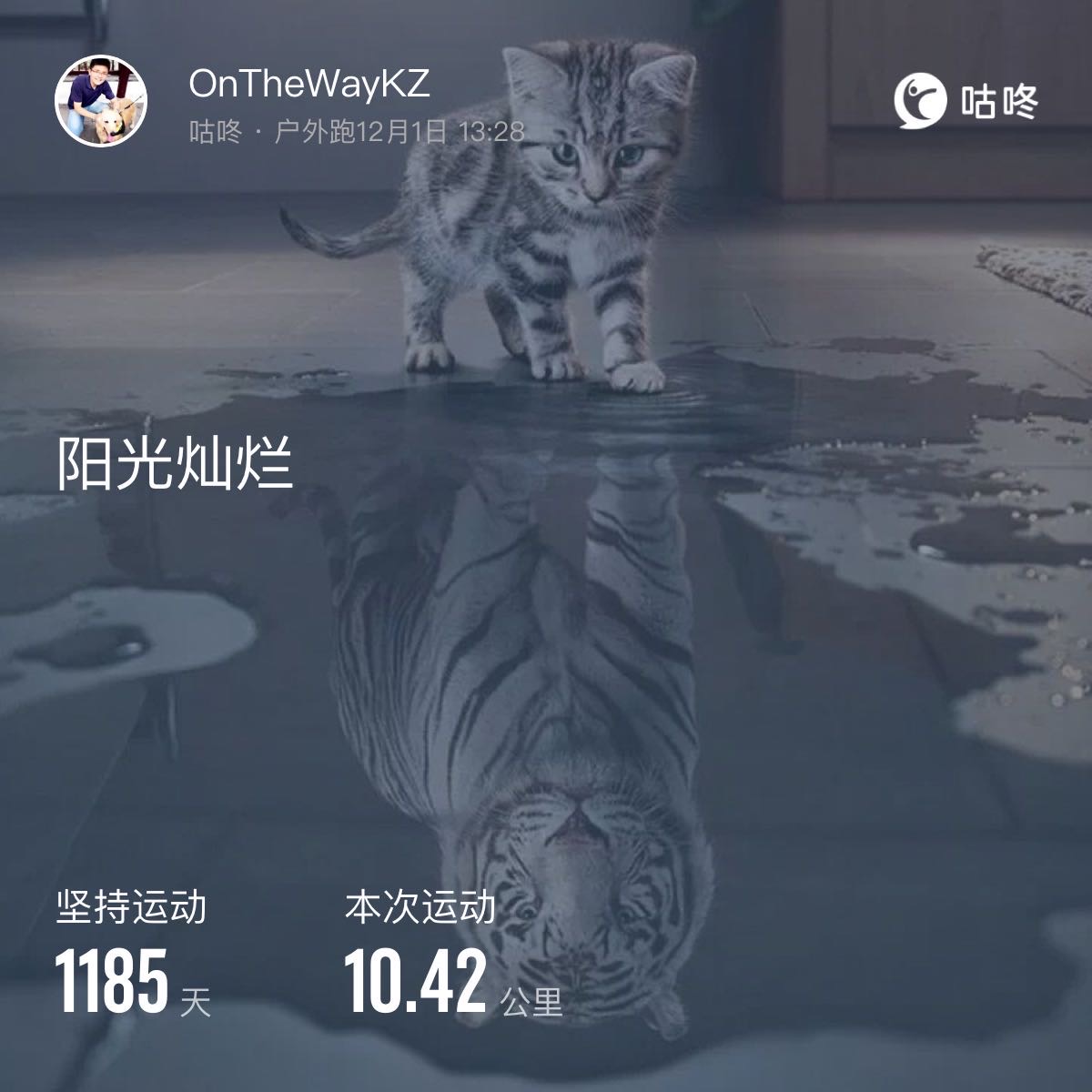 微信用户-超慢跑打卡记录-2024-12-02