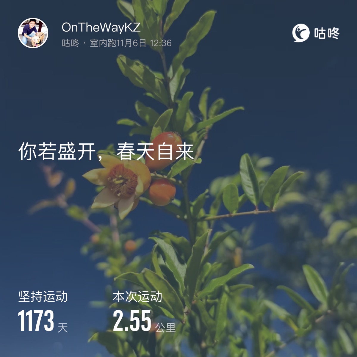 微信用户-超慢跑打卡记录-2024-11-06