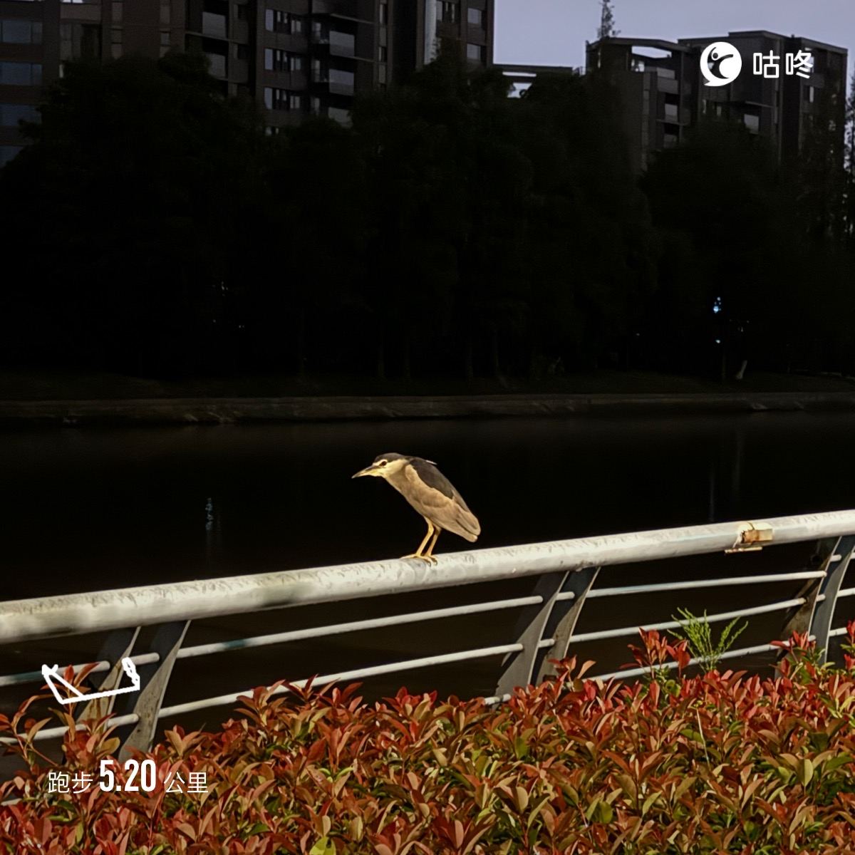 微信用户-超慢跑打卡记录-2024-10-14